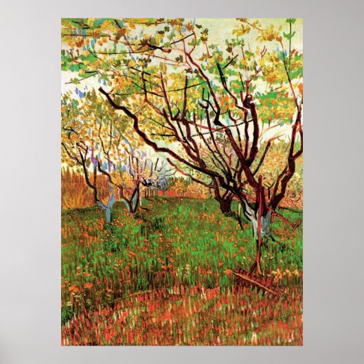 Orchard in Blossom, Vincent van Gogh Poster (Voorkant)