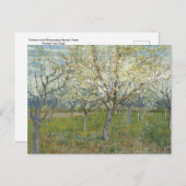 Orchard met bloedige abrikozenbomen - Van Gogh P Briefkaart (Voorkant / Achterkant)