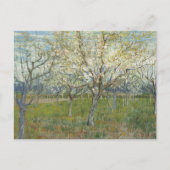 Orchard met bloedige abrikozenbomen - Van Gogh P Briefkaart (Voorkant)