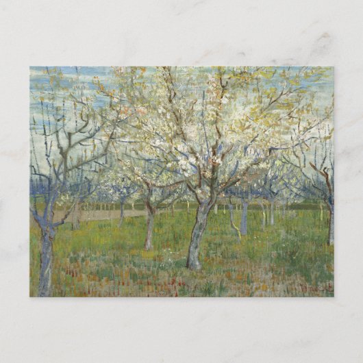 Orchard met bloedige abrikozenbomen - Van Gogh P Briefkaart (Voorkant)