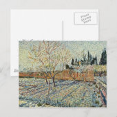 Orchard met Cypress van Vincent Van Gogh Briefkaart (Voorkant / Achterkant)