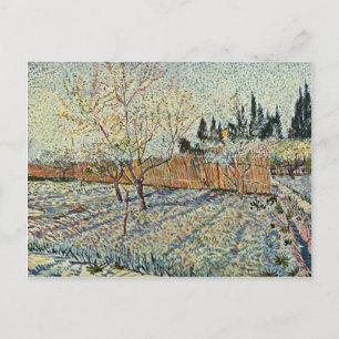 Orchard met Cypress van Vincent Van Gogh Briefkaart