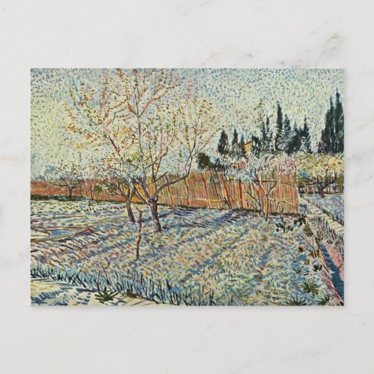 Orchard met Cypress van Vincent Van Gogh Briefkaart (Voorkant)