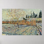 Orchard met Cypress van Vincent Van Gogh Poster (Voorkant)