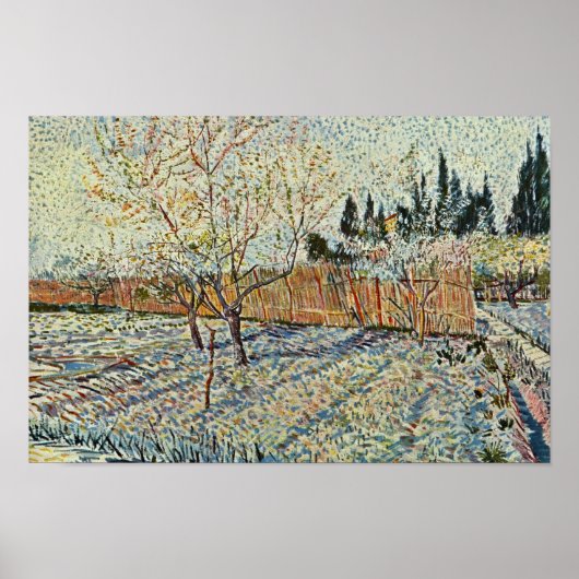 Orchard met Cypress van Vincent Van Gogh Poster (Voorkant)