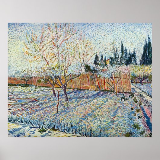 Orchard met cypried van Vincent van Gogh Poster (Voorkant)