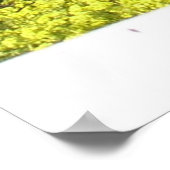 Orchard Mustard Fields Poster (Hoek)