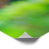 Orchard Orbwever - Leucauge venusta Poster (Hoek)