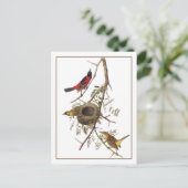 Orchard Oriole Briefkaart (Staand voorkant)