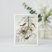 Orchard Oriole Briefkaart (Staand voorkant)