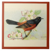 Orchard Oriole Ceramic Tegel Tegeltje (Voorkant)