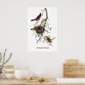Orchard Oriole - John James Audubon Poster (Keuken)