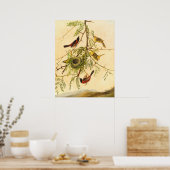 Orchard Oriole - Joseph Kidd Fine Art Poster (Keuken)