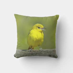 Orchard Oriole - oorspronkelijke foto Buitenkussen
