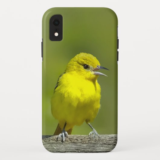 Orchard Oriole - oorspronkelijke foto Case-Mate iPhone Case (Achterkant)