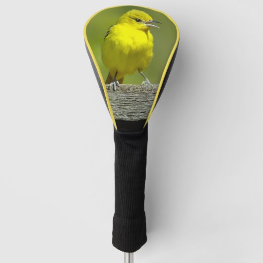 Orchard Oriole - oorspronkelijke foto Golfheadcover (Voorkant)