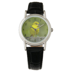 Orchard Oriole - oorspronkelijke foto Horloge