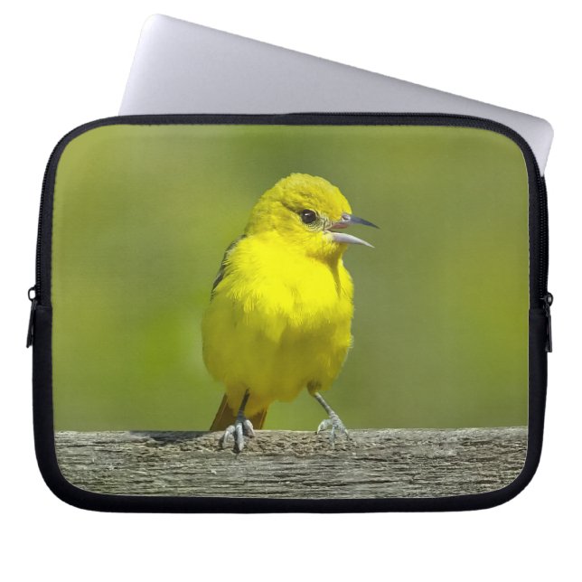 Orchard Oriole - oorspronkelijke foto Laptop Sleeve (Voorkant)