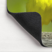 Orchard Oriole - oorspronkelijke foto Muismat (Hoek)