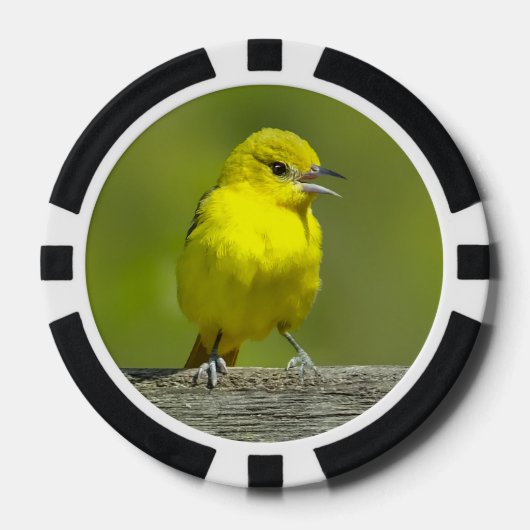 Orchard Oriole - oorspronkelijke foto Poker Chips (Voorkant)