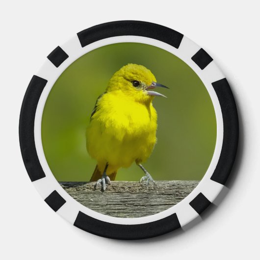 Orchard Oriole - oorspronkelijke foto Poker Chips (Achterkant)