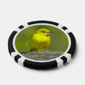 Orchard Oriole - oorspronkelijke foto Poker Chips (Enkel)
