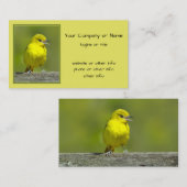 Orchard Oriole - oorspronkelijke foto Visitekaartje (Voorkant / Achterkant)