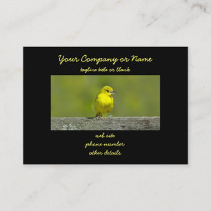 Orchard Oriole - oorspronkelijke foto Visitekaartje