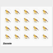 Orchard Oriole Songbird Stickers (Vel)