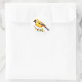 Orchard Oriole Songbird Stickers (Tas)