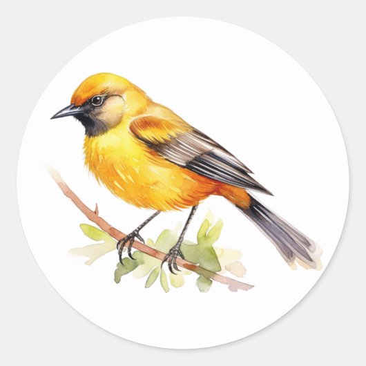 Orchard Oriole Songbird Stickers (Voorkant)