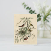 Orchard Oriole uit Audubon's Birds of America Briefkaart (Staand voorkant)