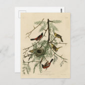 Orchard Oriole uit Audubon's Birds of America Briefkaart (Voorkant / Achterkant)