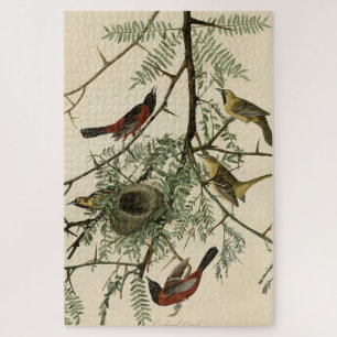Orchard Oriole uit Audubon's Birds of America Legpuzzel
