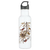 Orchard Oriole Vogels met Nest Audubon Waterfles (Voorkant)