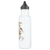 Orchard Oriole Vogels met Nest Audubon Waterfles (Rechts)