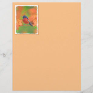 Orchard Oriole zangvogel schilderij originele voge