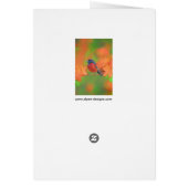 Orchard Oriole zangvogel schilderij originele voge (Achterkant)