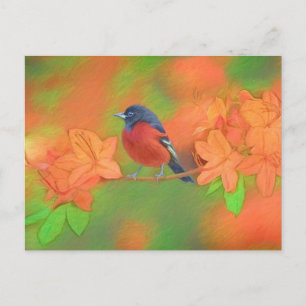 Orchard Oriole zangvogel schilderij originele voge Briefkaart