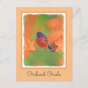 Orchard Oriole zangvogel schilderij originele voge Briefkaart