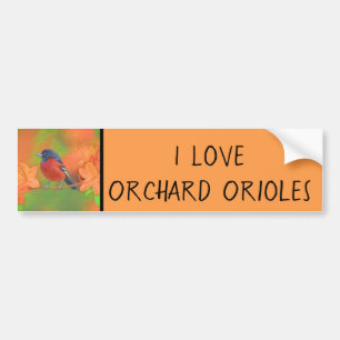Orchard Oriole zangvogel schilderij originele voge Bumpersticker