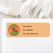 Orchard Oriole zangvogel schilderij originele voge Etiket (Insitu)