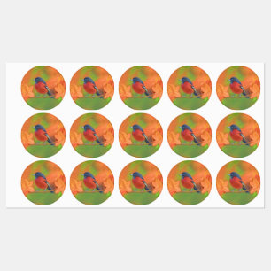 Orchard Oriole zangvogel schilderij originele voge Labels