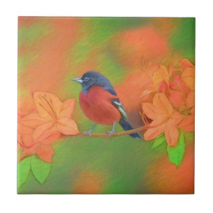 Orchard Oriole zangvogel schilderij originele voge Tegeltje