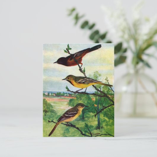 Orchard Orioles  schilderen Briefkaart (Staand voorkant)