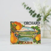 Orchard Pears Briefkaart (Staand voorkant)