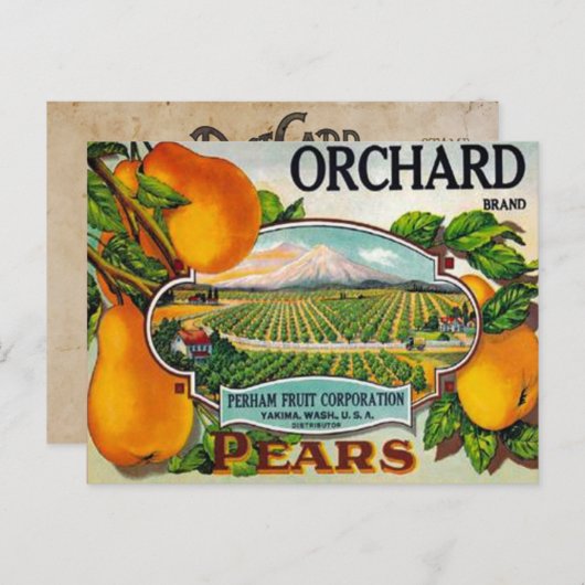  Orchard Pears Briefkaart (Voorkant / Achterkant)