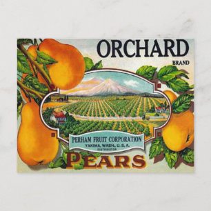 Orchard Pears Briefkaart