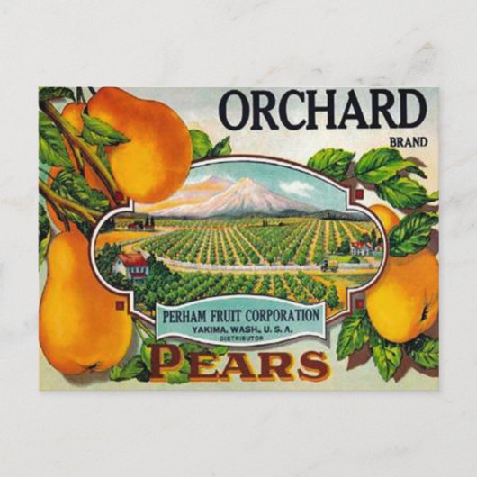 Orchard Pears Briefkaart (Voorkant)