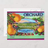 Orchard Pears Briefkaart (Voorkant / Achterkant)
